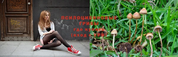 ГАЛЛЮЦИНОГЕННЫЕ ГРИБЫ Краснотурьинск